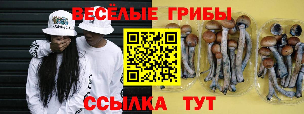 Галлюциногенные грибы MAGIC MUSHROOMS Якутск
